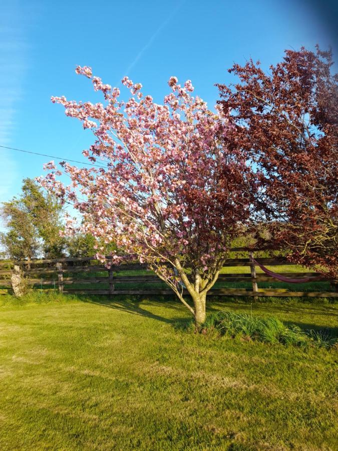 Shadowvale E34X773 Bed & Breakfast Tipperary Ngoại thất bức ảnh
