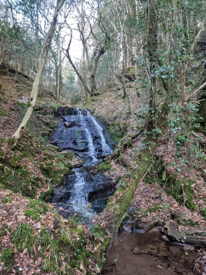 Shadowvale E34X773 Bed & Breakfast Tipperary Ngoại thất bức ảnh